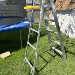 Aluminum Ladder