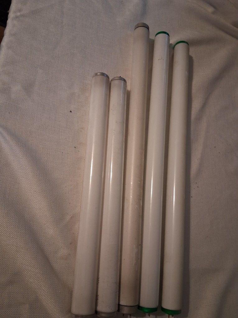 5 Free Working fluorescent Light Bulbs
