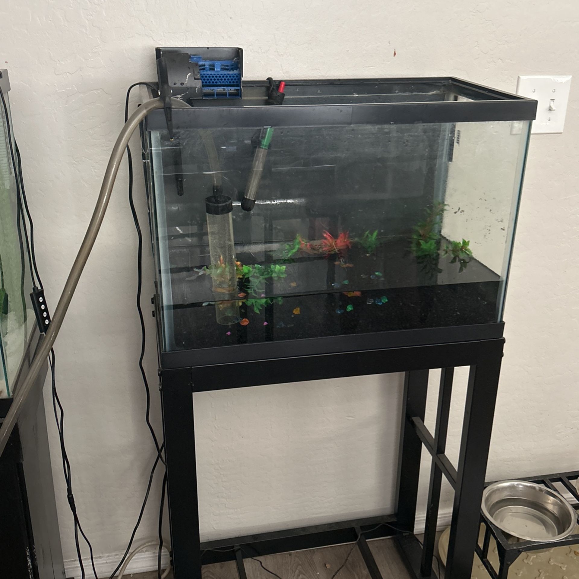 20 Gallon Fish Tank/stand