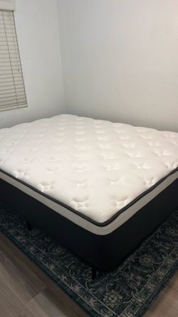 New Queen Mattress