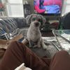 Lucas