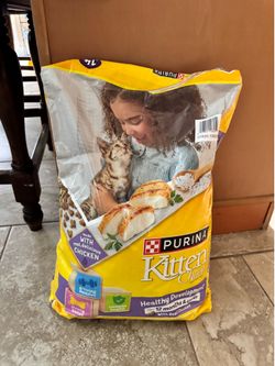 Purina Kitten Chow Dry Cat Food – 14 lb Bag – $12