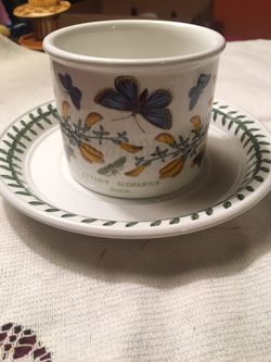 Botanic Garden Drum Shaped Tea Cup & Saucer