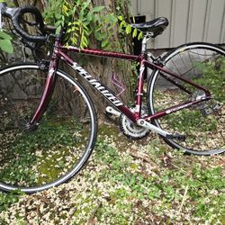 44 Cm Specialized Allez Pro