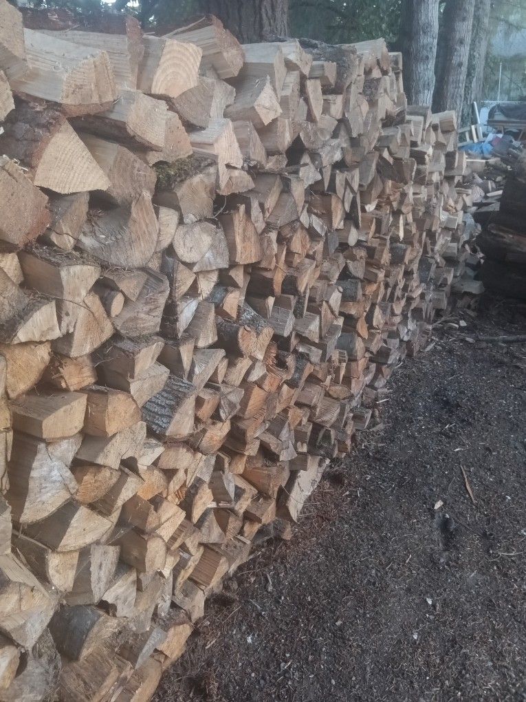Lots and Lots of Firewood!