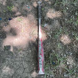 Bat