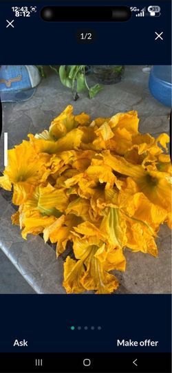 Flor de  calabaza à la venta 10 flores por $1