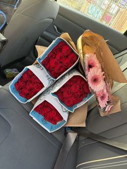 Red Roses/bouquet/flowers/rosas/ramos