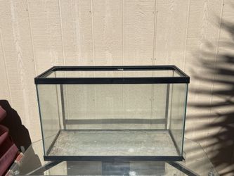Fish Tank