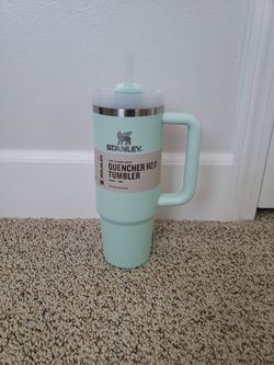 NWT 30oz Mint color Stanley