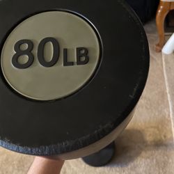 80lb Straight Barbell Golds Gym