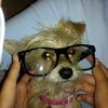 susieQ