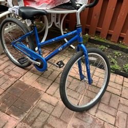 Bicycle For Adult