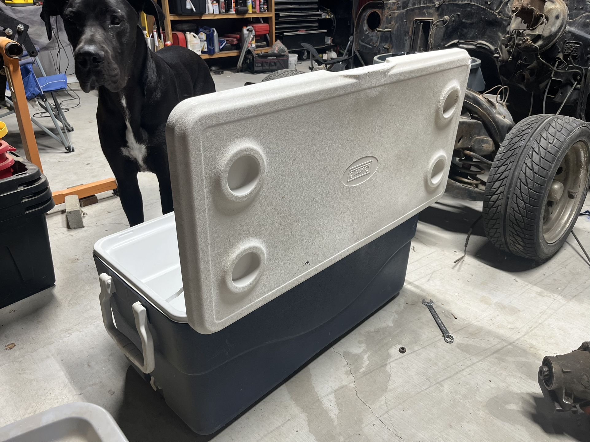 Coleman 150 Quart
