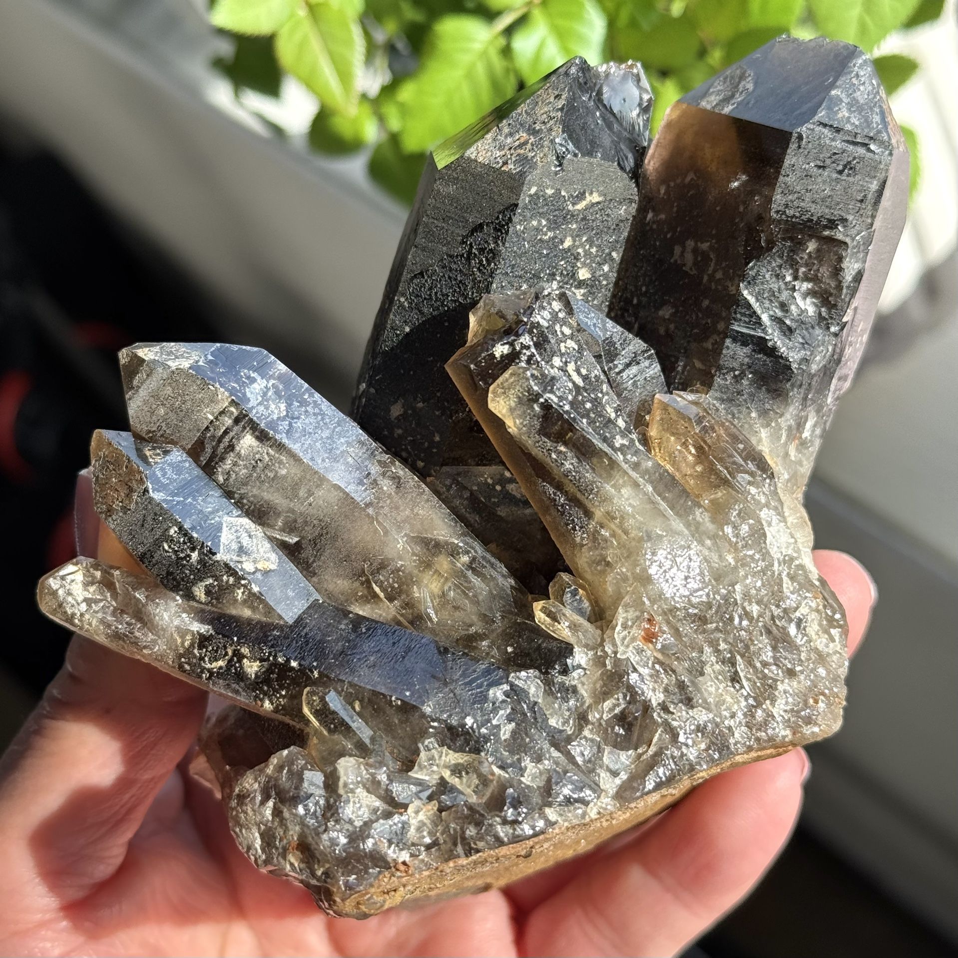Natural Smoky Quartz Cluster