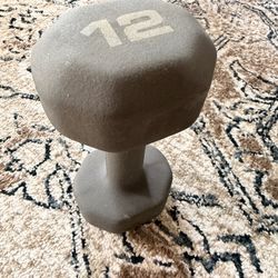 12 lb Dumbbell Weight