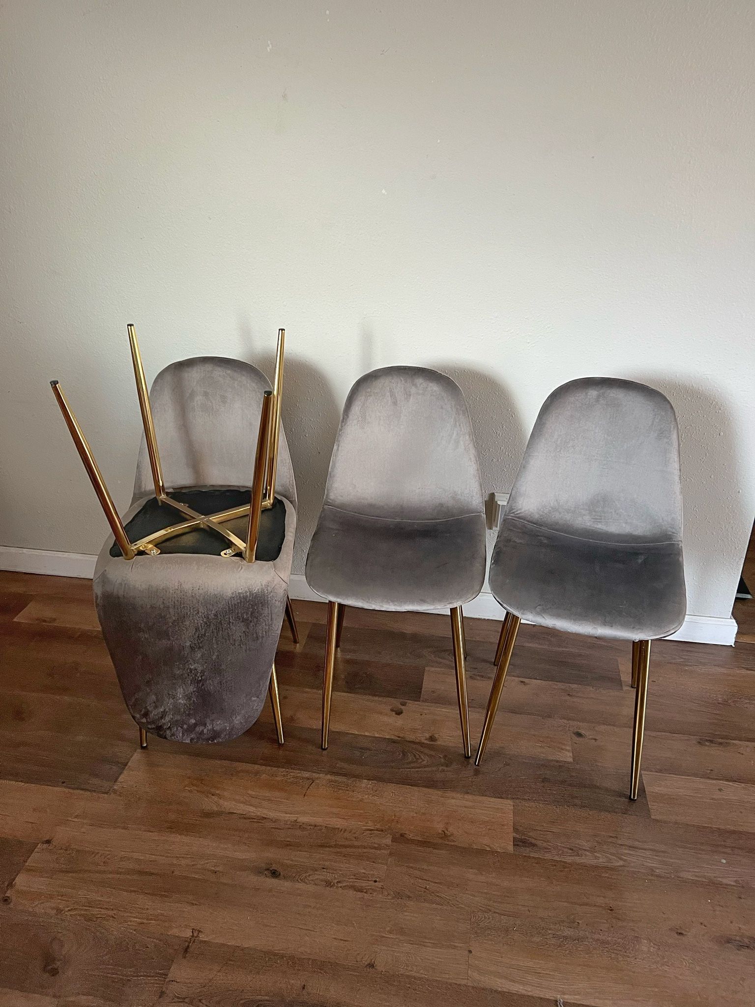 Gray Gold Modern Velvet Dining Chairs
