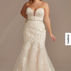Davids Bridal Veil And Oleg Cassini Dress 