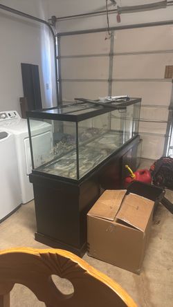 125 gallon Fish Tank