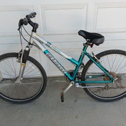 Giant SE Mountain Bike