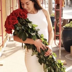 🌹 Rosas rojas de tallo largo – hermosas y elegantes 🌹