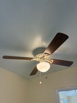 Ceiling fan light