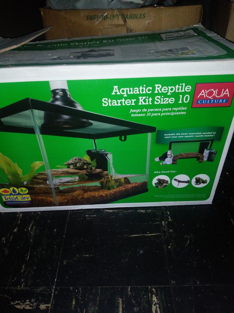 Aquarium Set Reptile