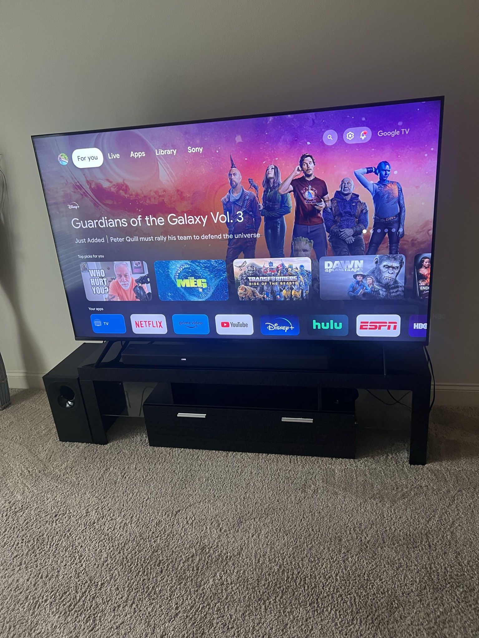75” Sony TV  With Surrounding Sound System 