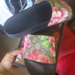 Gucci Slides 