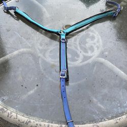 Pretty turquoise and purple breast plate for horses