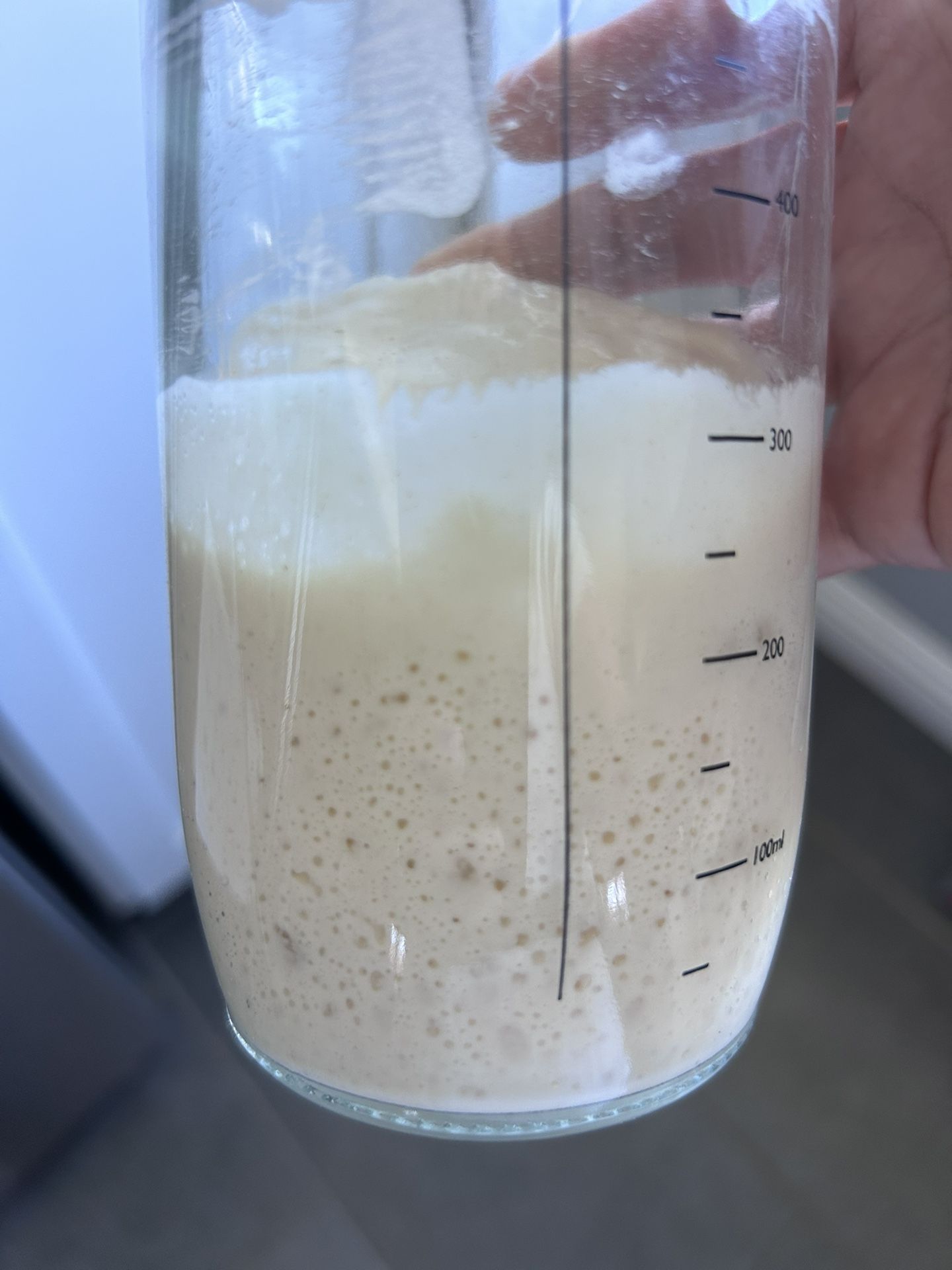 Sourdough Starter For Baking