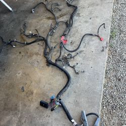 Oem Ls Wiring Harness 
