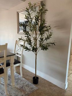 Olive Tree Home Decor