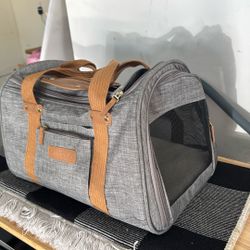 Pet Airplane approved carrier