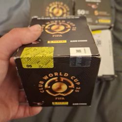 Fifa Club World Cup 25 PANINI collectible album Stickers 