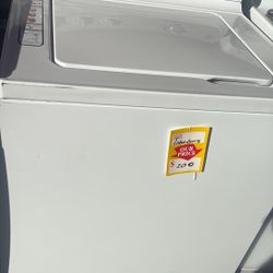 Bonita  Labadora Tina Grande 