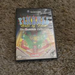Nintendo GameCube Pin Ball Hall Of Fame 