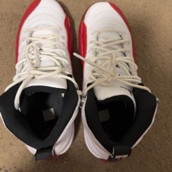 Jordan 12s