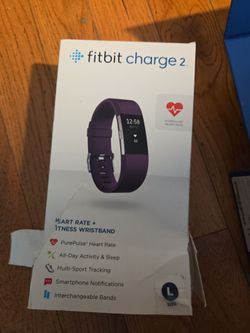 Fit bit wristband