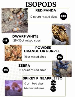 Isopods bioactive reptile