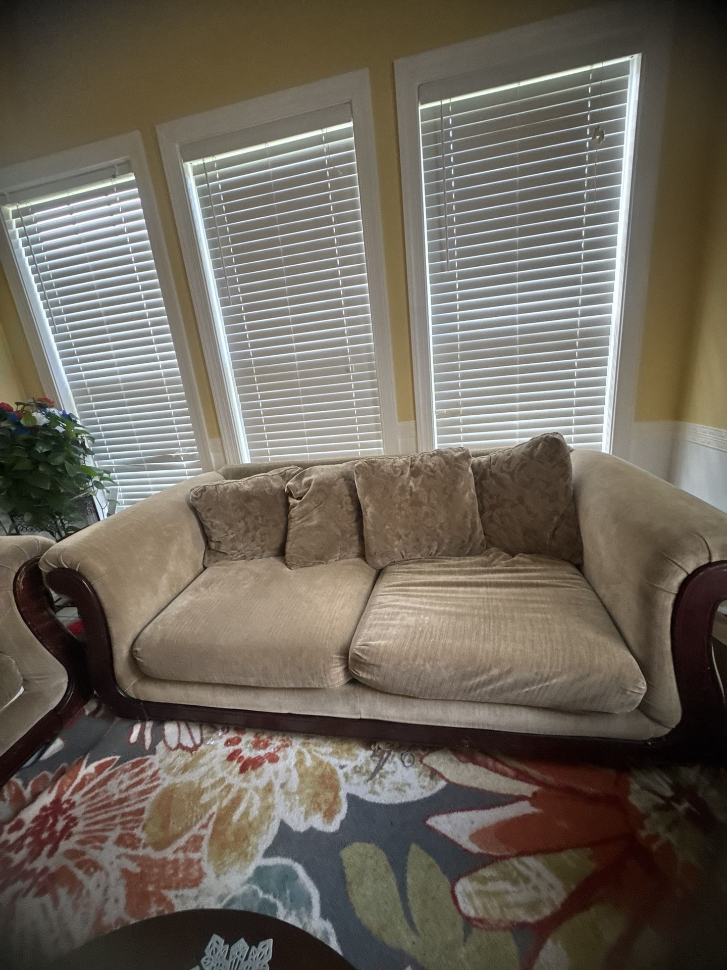 Two Sofa Set