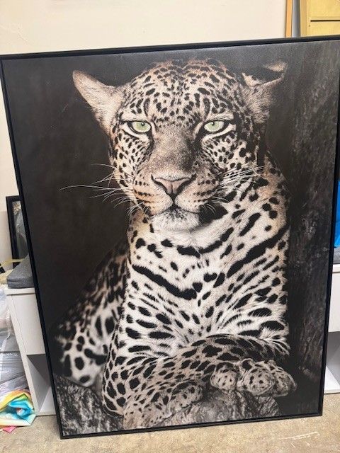 Extra Large Cheetah Painting