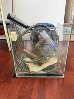 $50 OBO - Small Square Glass Fish Tank + Aquarium Accessories