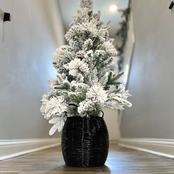 3’ PRELIT FROSTED SPRUCE POTTED TREE