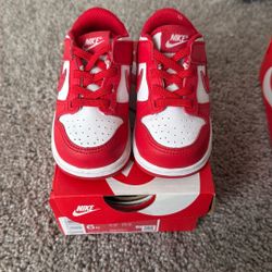 Toddler Nike Dunks