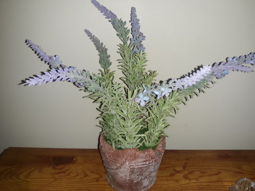 Beautiful Decorative Artificial Plant