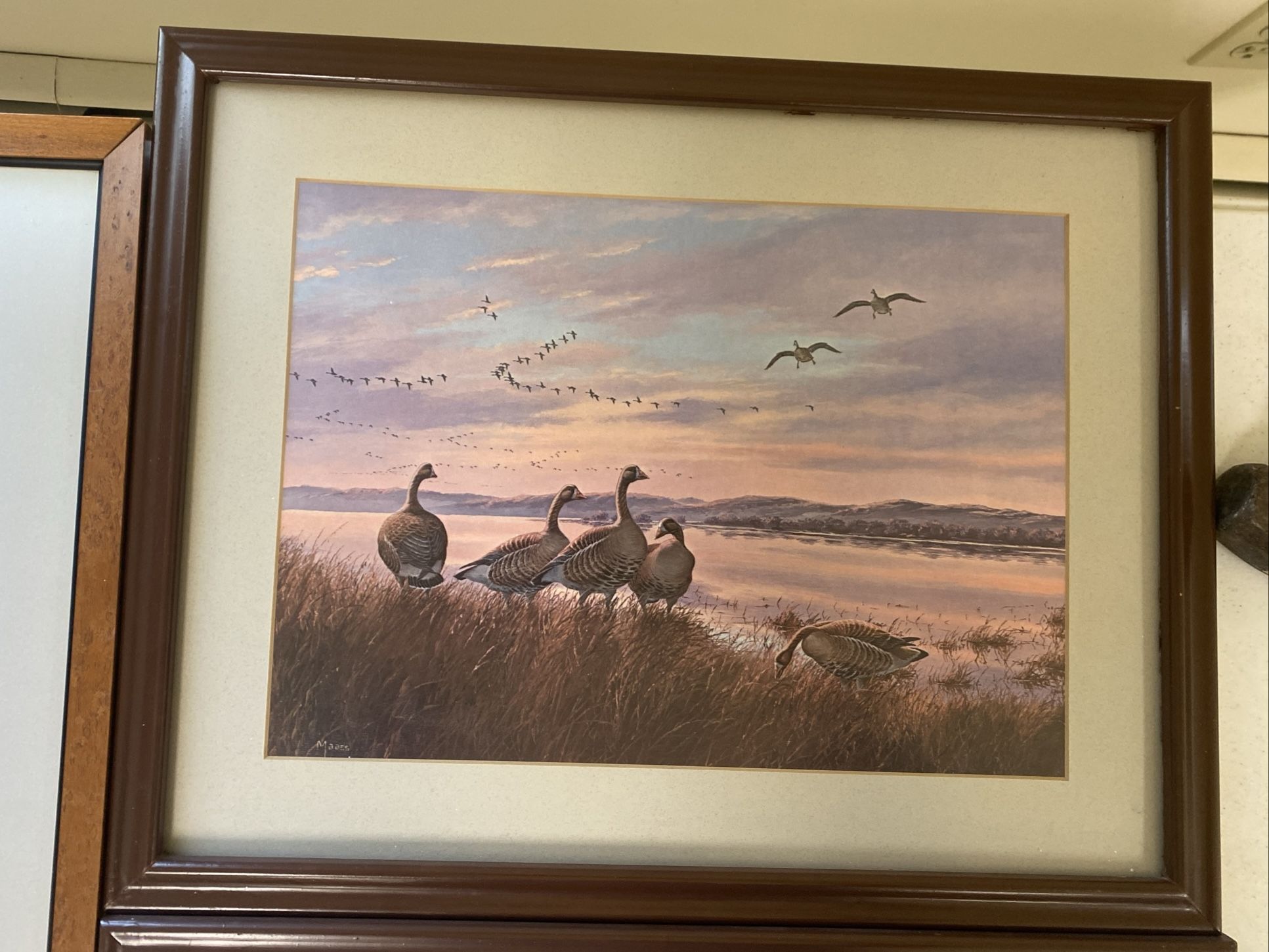 David A Maass Print