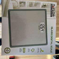 Digital Glass Bathroom Scale Gray/Silver - Taylor