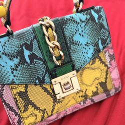 Aldo Purse 