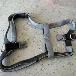 Dog Harness